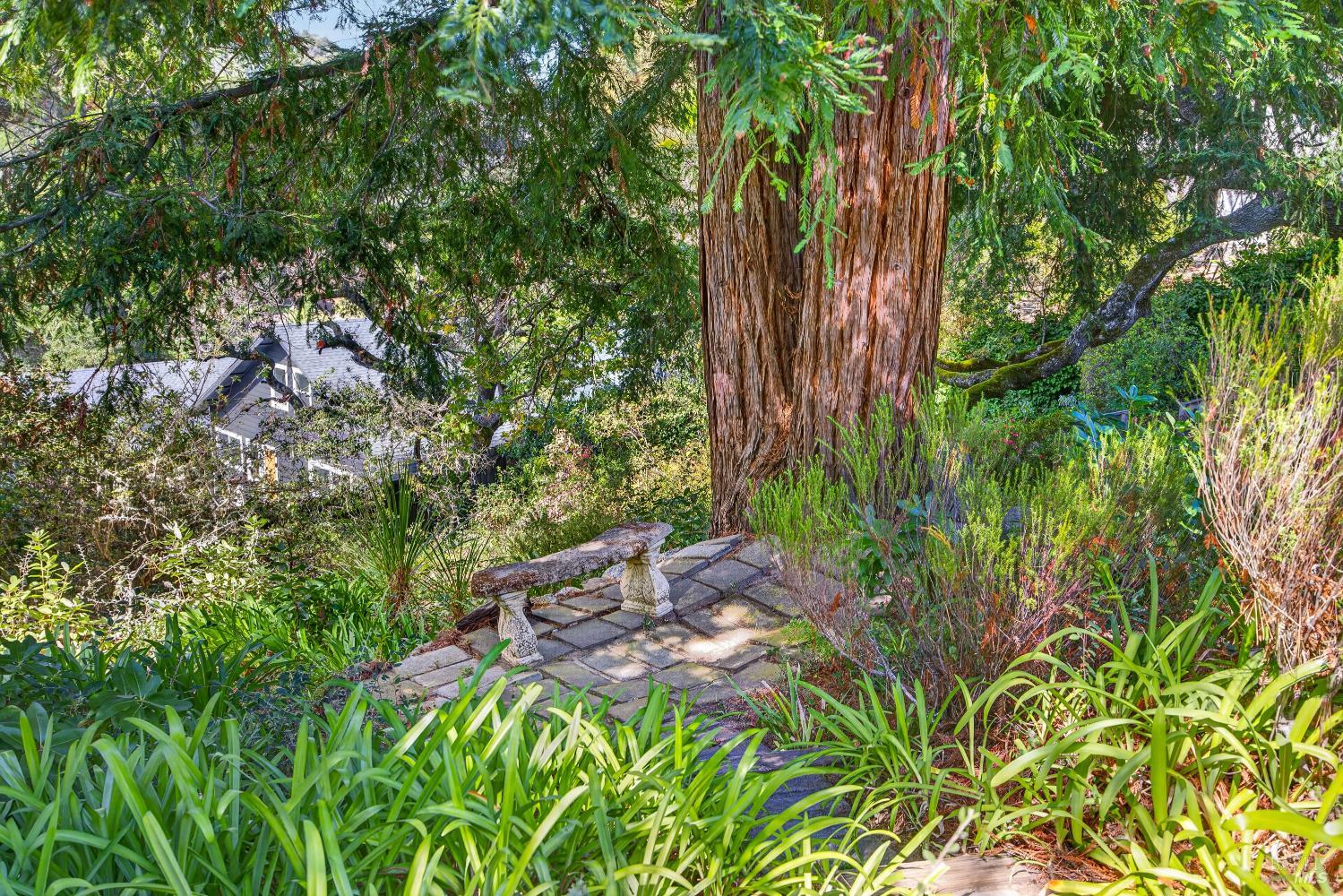 55 La Costa Court Novato CA 94947