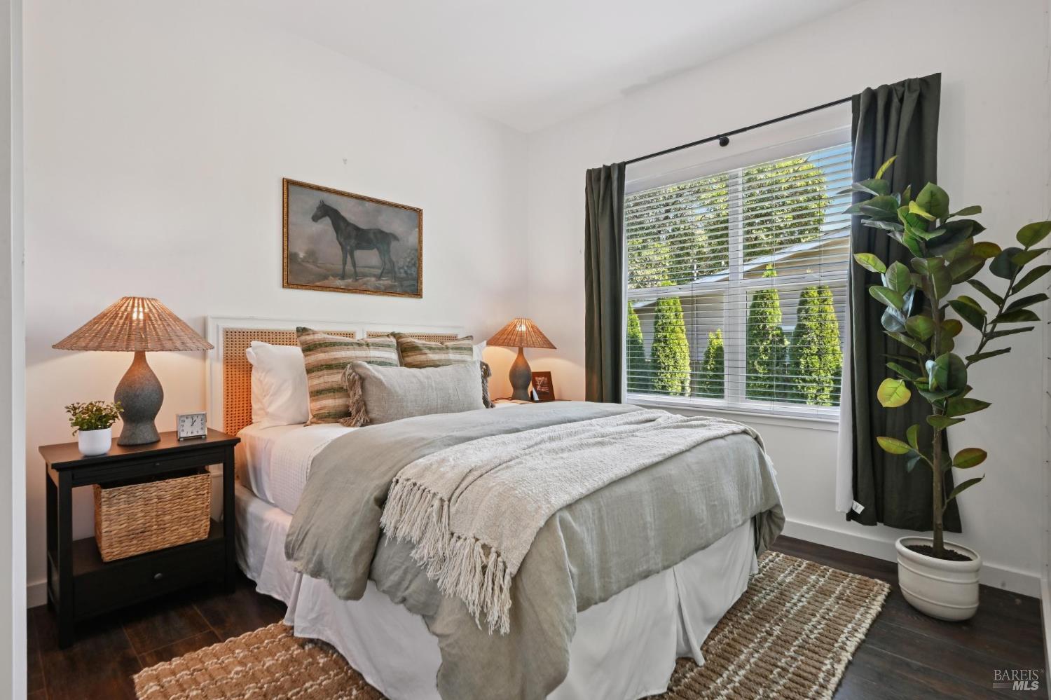 216 Olive Street Santa Rosa CA 95401