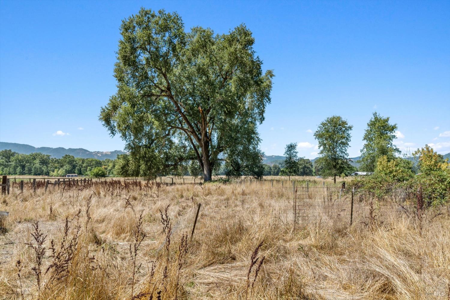 24800 Mendocino Pass Road Covelo CA 95428