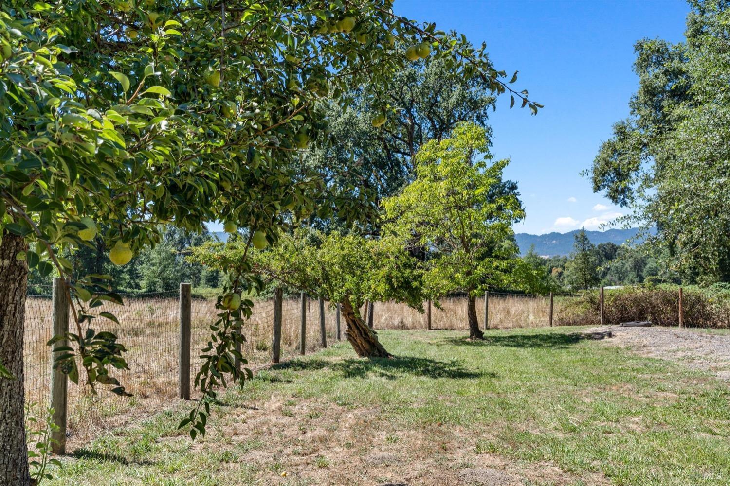 24800 Mendocino Pass Road Covelo CA 95428