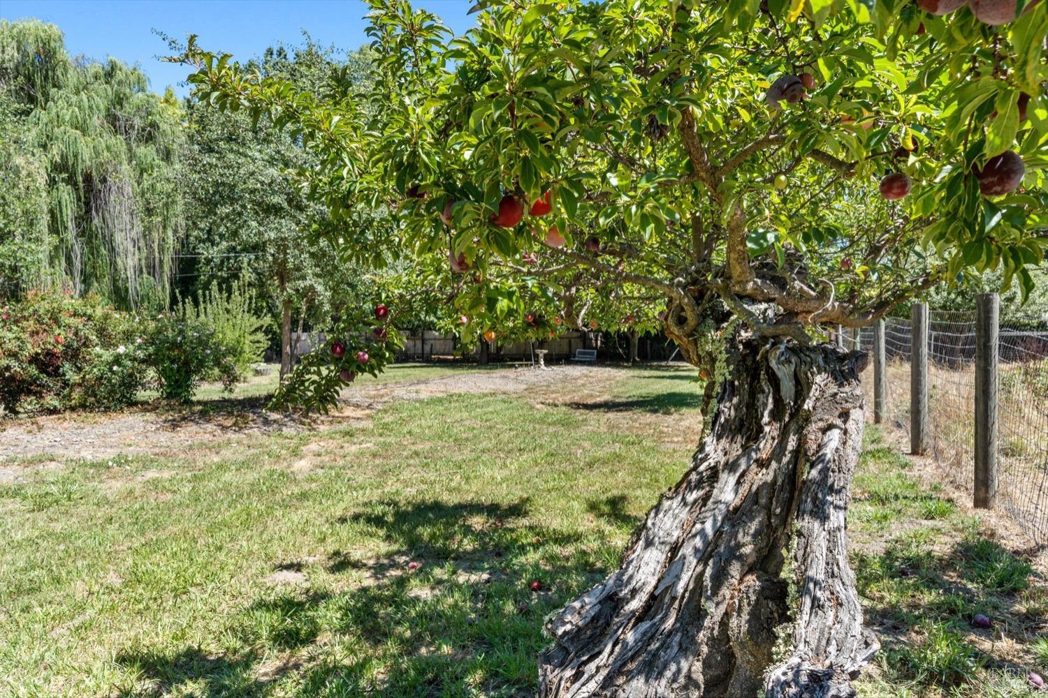 24800 Mendocino Pass Road Covelo CA 95428
