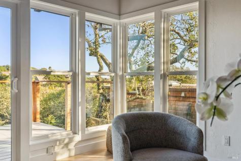 315 Grandview Avenue Novato CA 94945