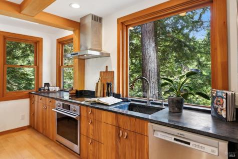 380 Larch Road Bolinas CA 94924
