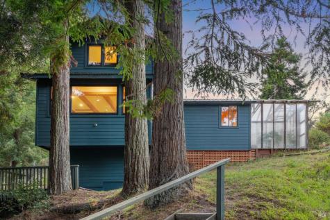 380 Larch Road Bolinas CA 94924