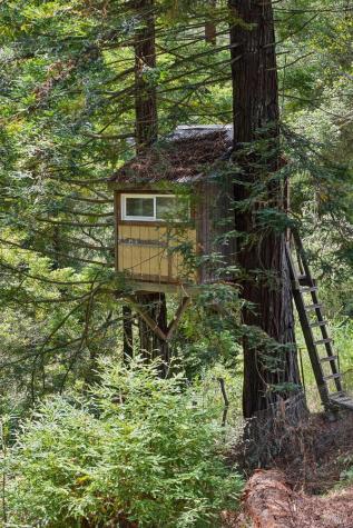 380 Larch Road Bolinas CA 94924