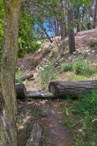 380 Larch Road Bolinas CA 94924