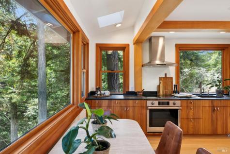 380 Larch Road Bolinas CA 94924