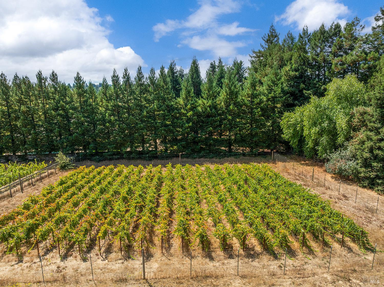 3620 Evelyn Court Sebastopol CA 95472