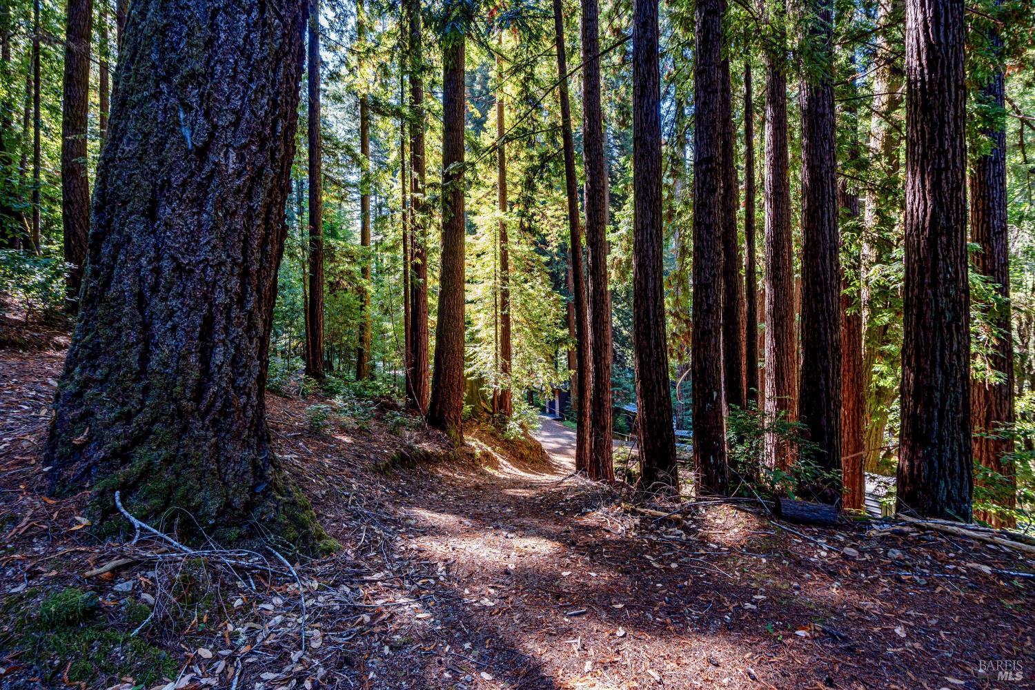 4350 Cazadero Highway Cazadero CA 95421
