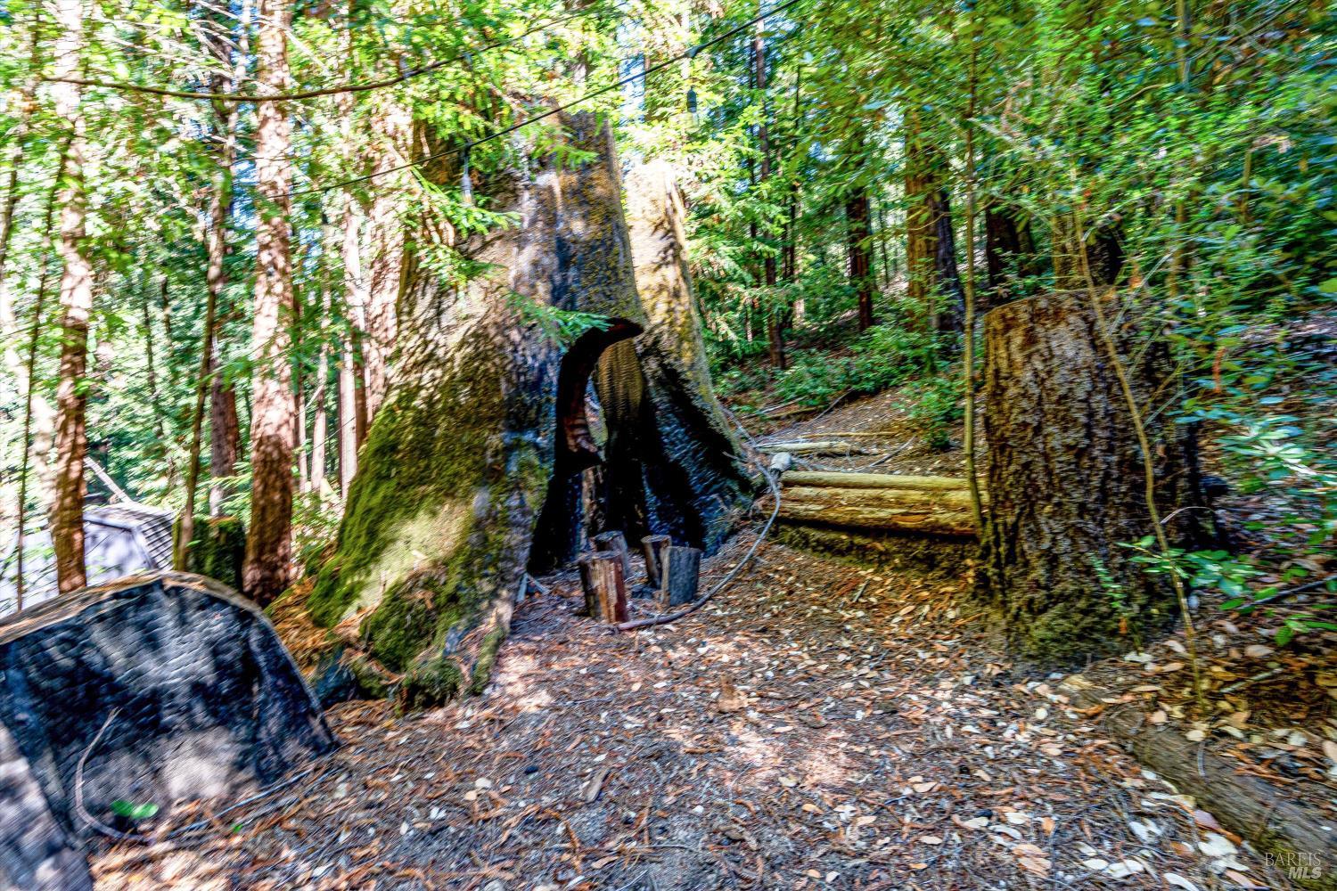 4350 Cazadero Highway Cazadero CA 95421