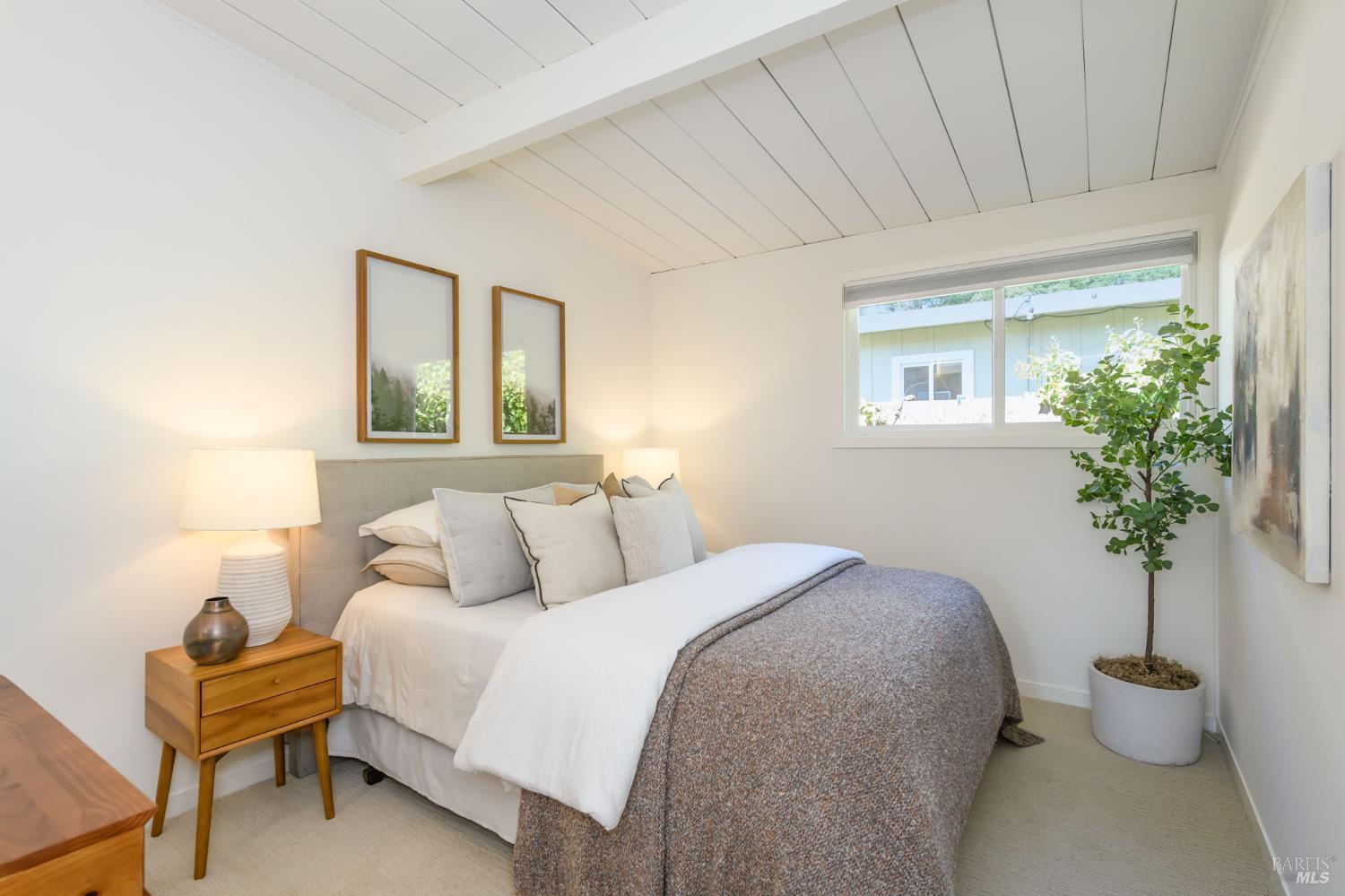 15 Windsor Avenue San Rafael CA 94901