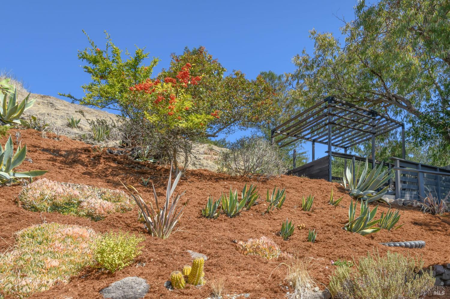 15 Windsor Avenue San Rafael CA 94901