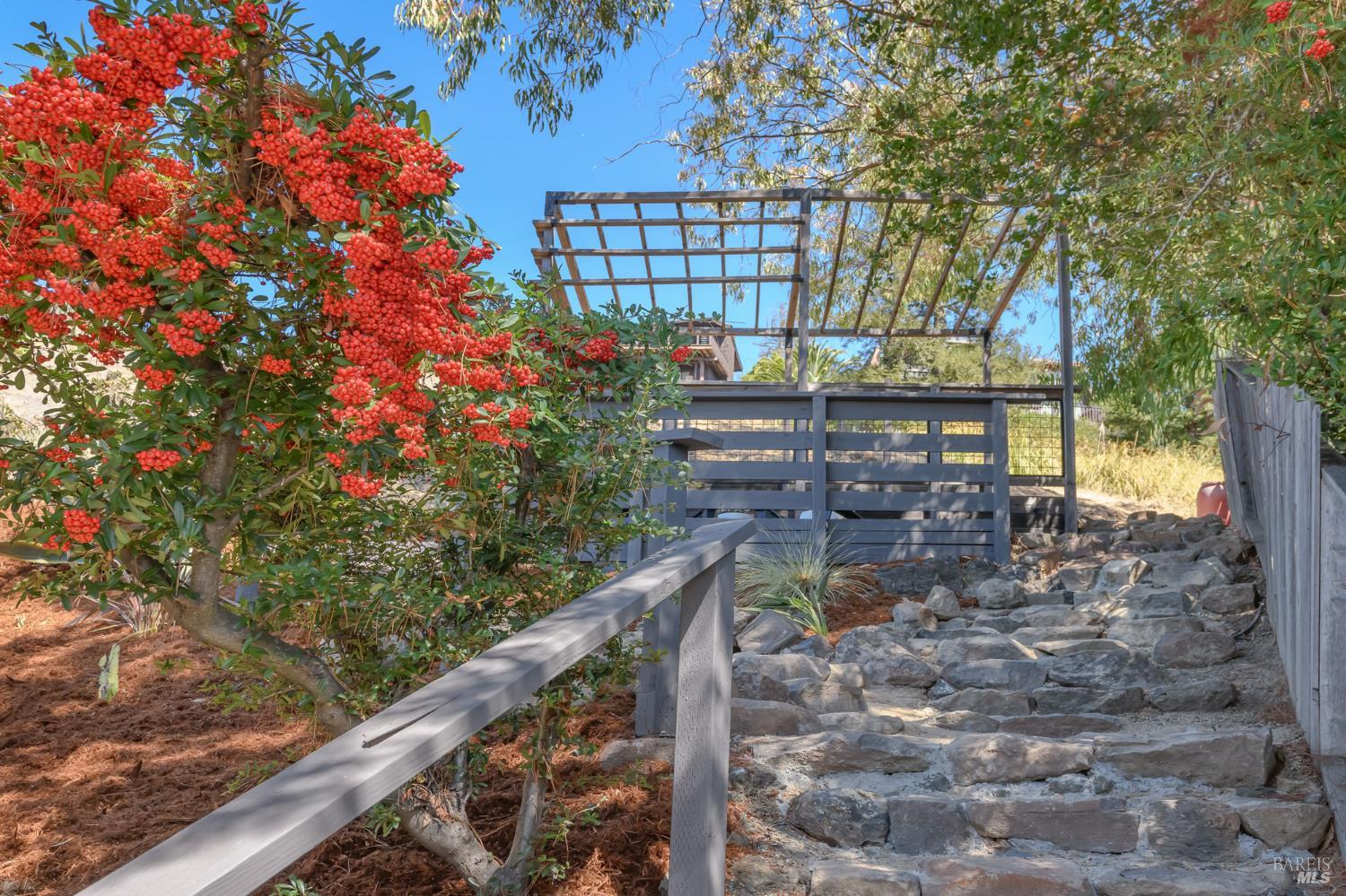15 Windsor Avenue San Rafael CA 94901