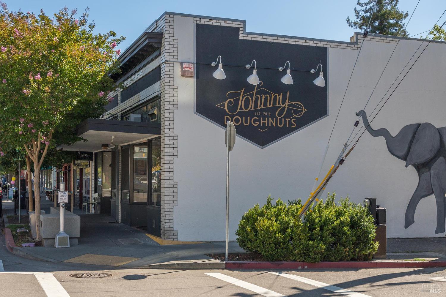 15 Windsor Avenue San Rafael CA 94901