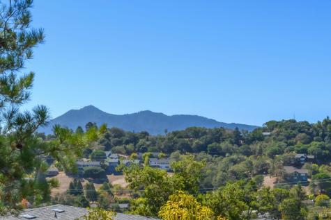 15 Windsor Avenue San Rafael CA 94901