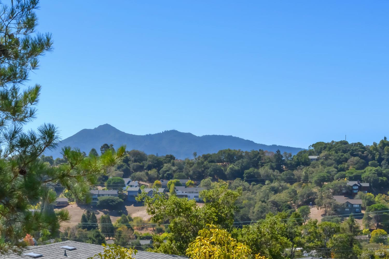 15 Windsor Avenue San Rafael CA 94901