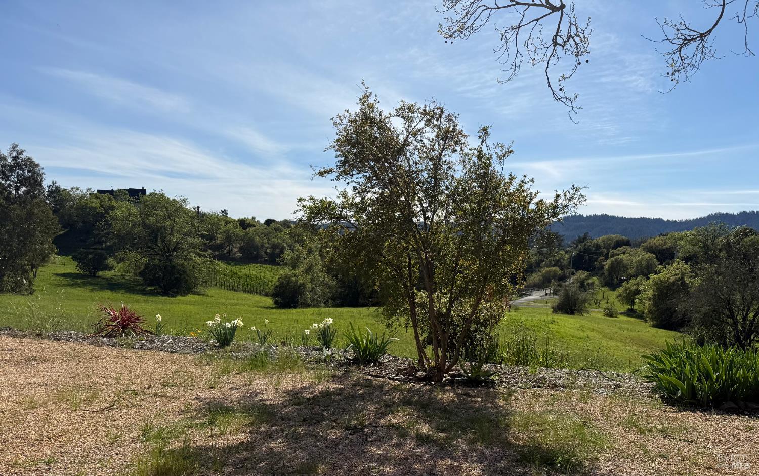 1676 Chiquita Road Healdsburg CA 95448