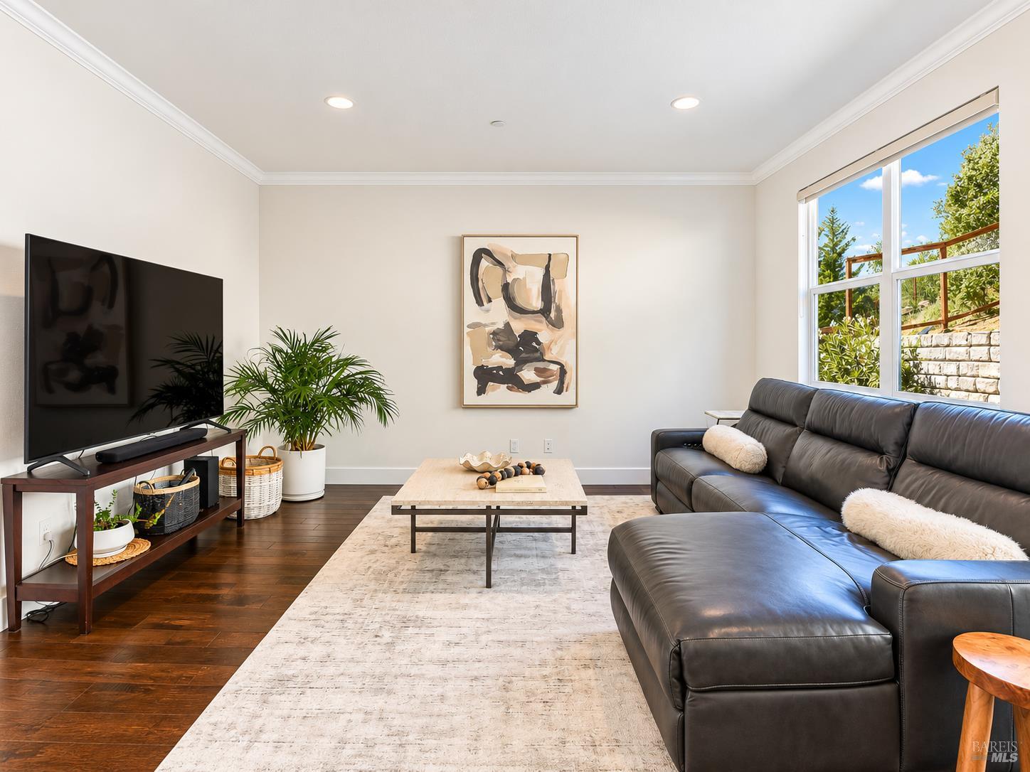 11 Zandra Place Novato CA 94945