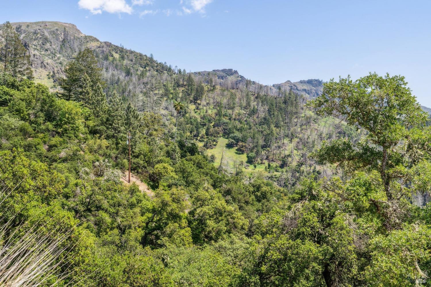 4300 Lake County Highway Calistoga CA 94515