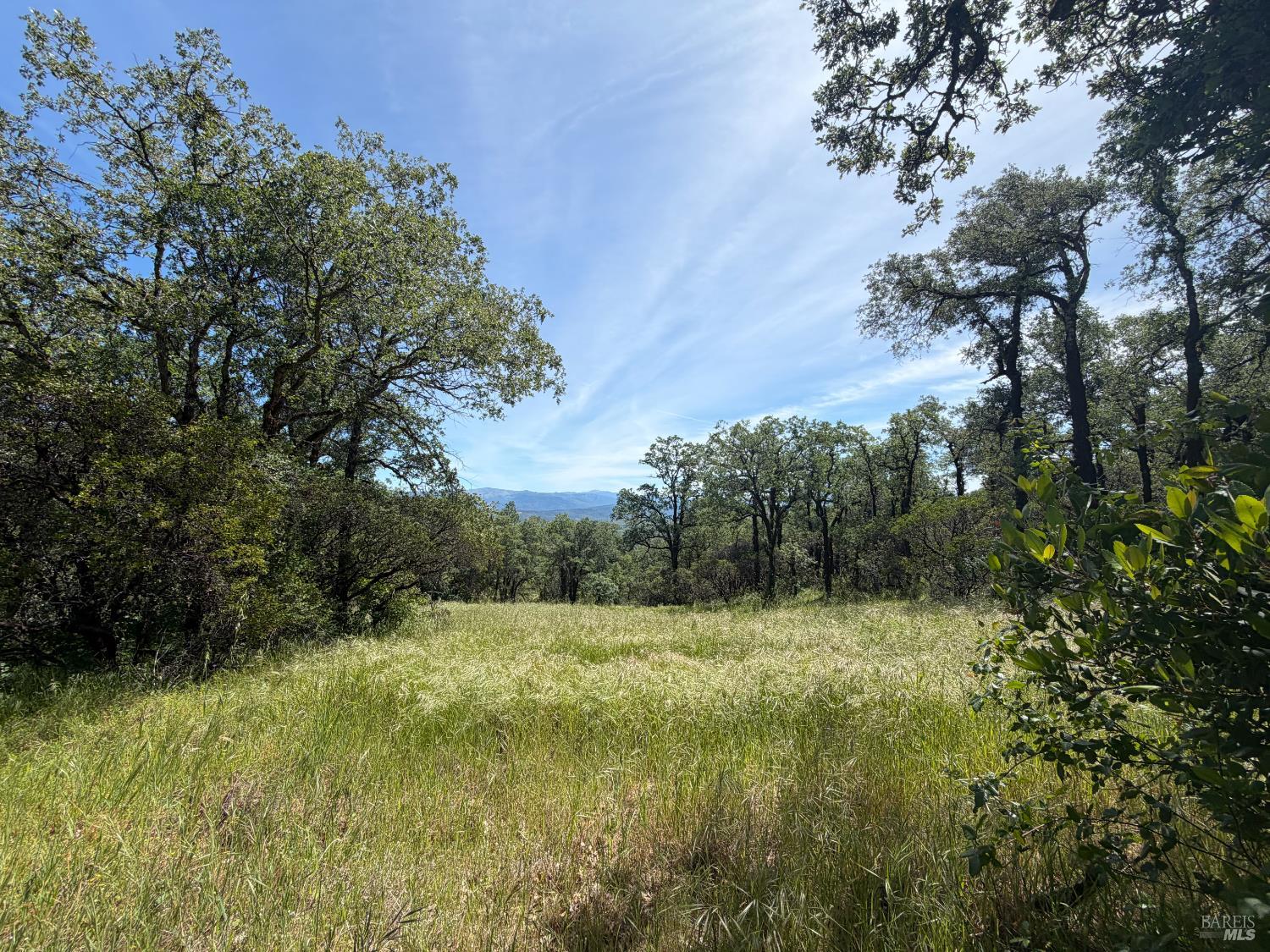 80540 Mina Road Covelo CA 95428