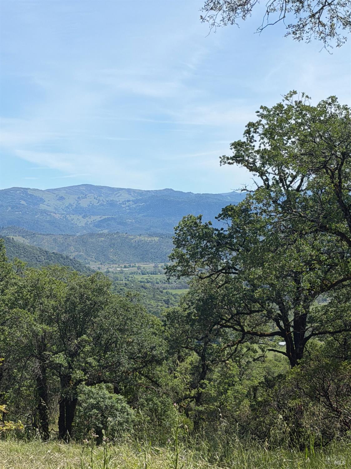 80540 Mina Road Covelo CA 95428
