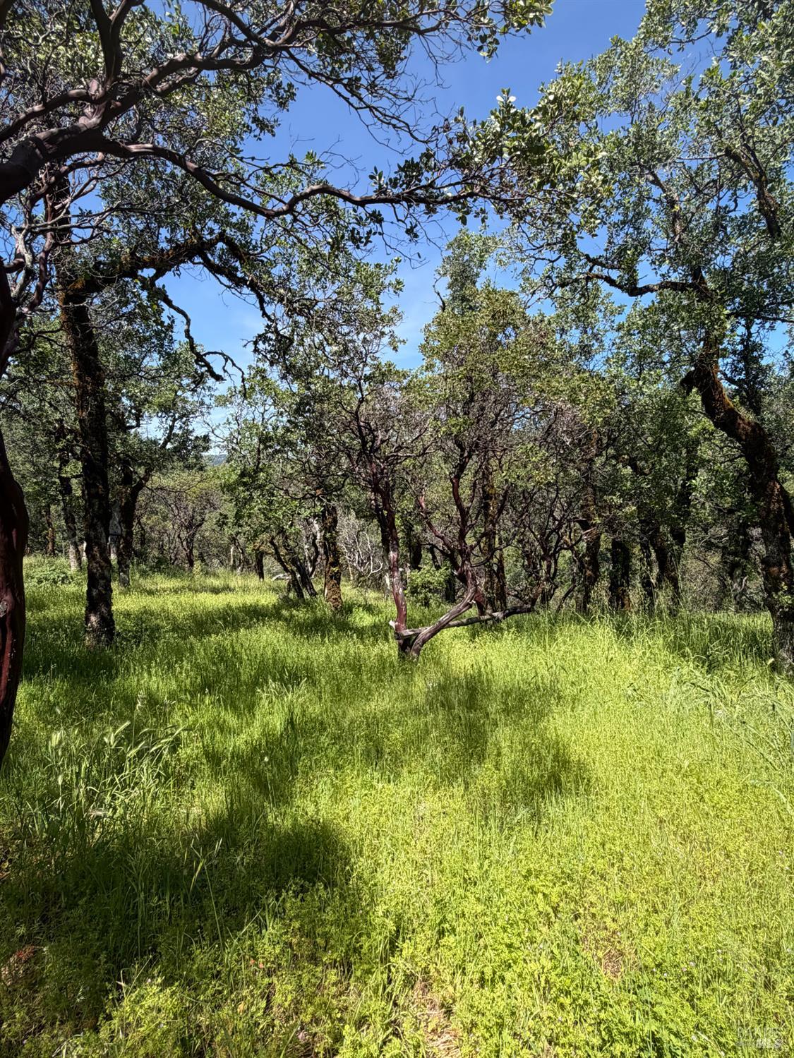 80540 Mina Road Covelo CA 95428