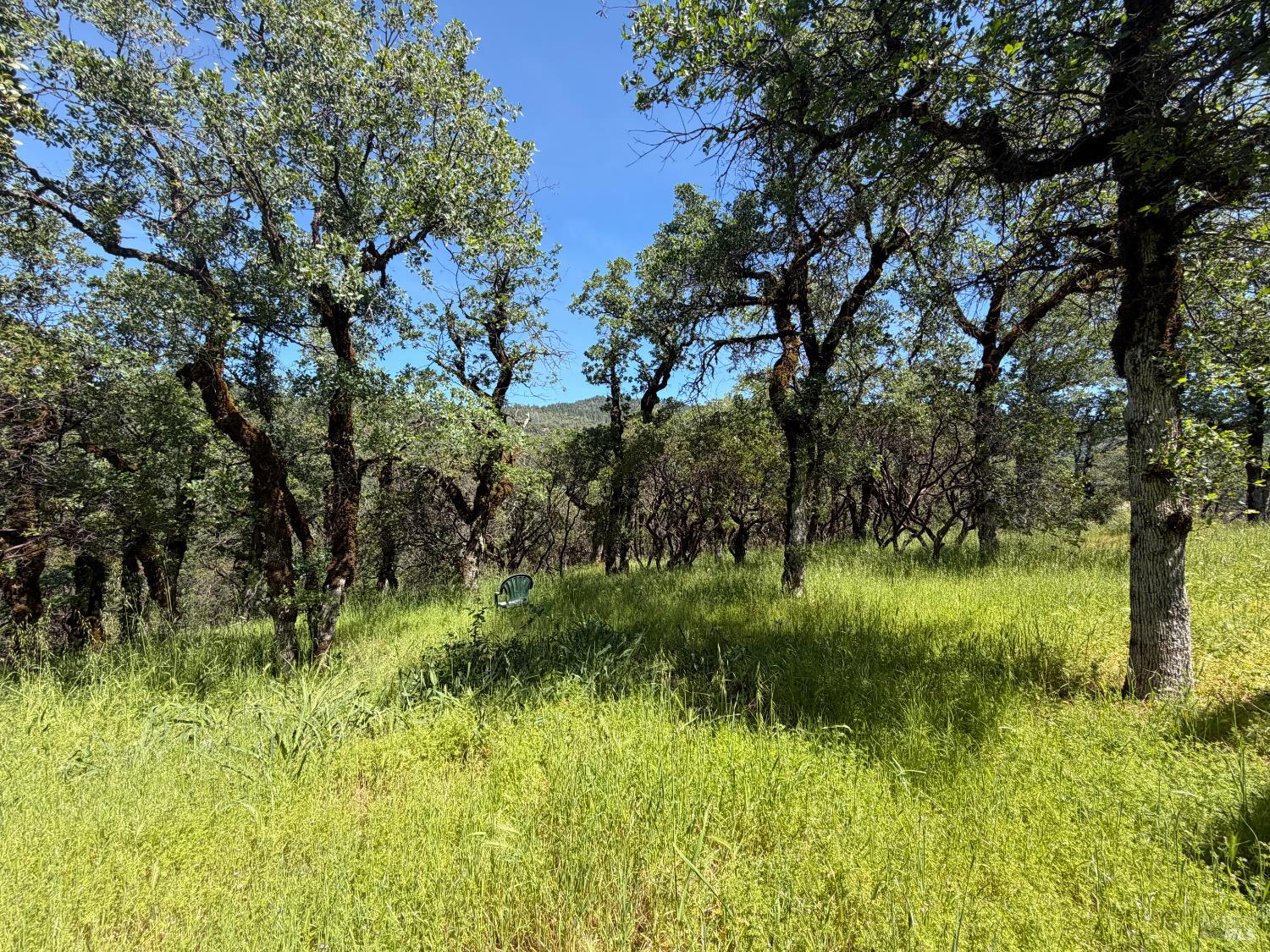80540 Mina Road Covelo CA 95428