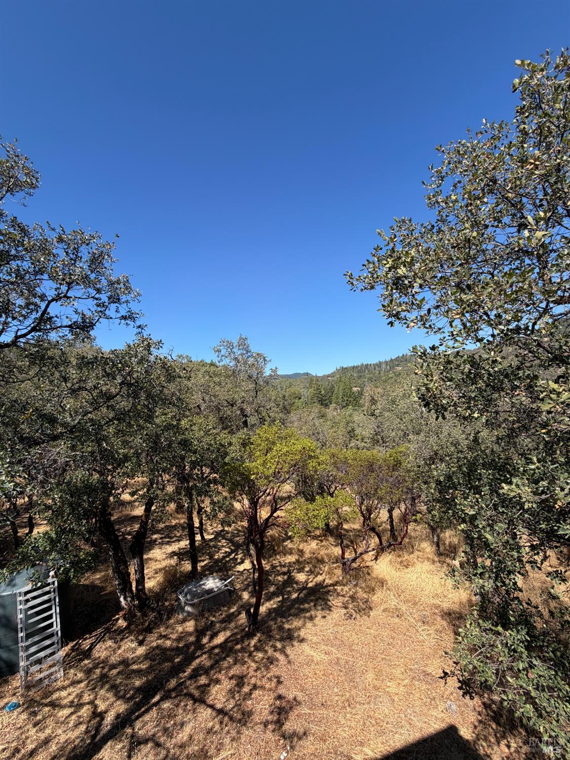 80540 Mina Road Covelo CA 95428