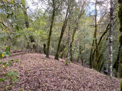 3100 Mill Creek Road Healdsburg CA 95448