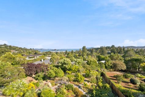 29 Dorian Way San Rafael CA 94901