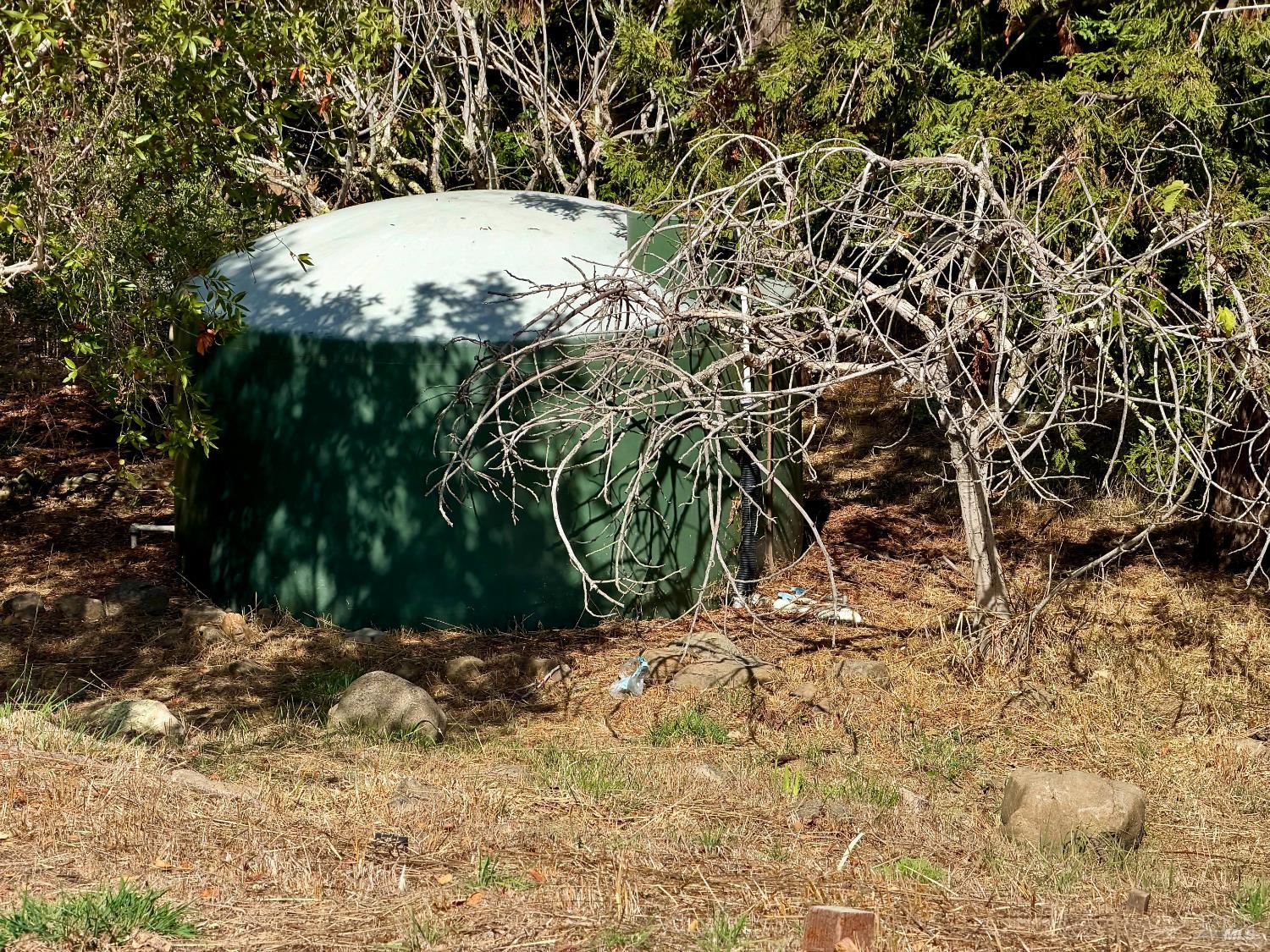 4310 Lichau Road Penngrove CA 94951