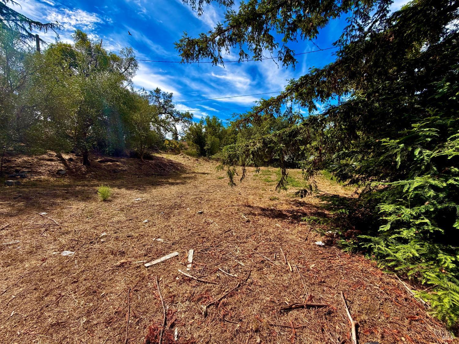 4310 Lichau Road Penngrove CA 94951