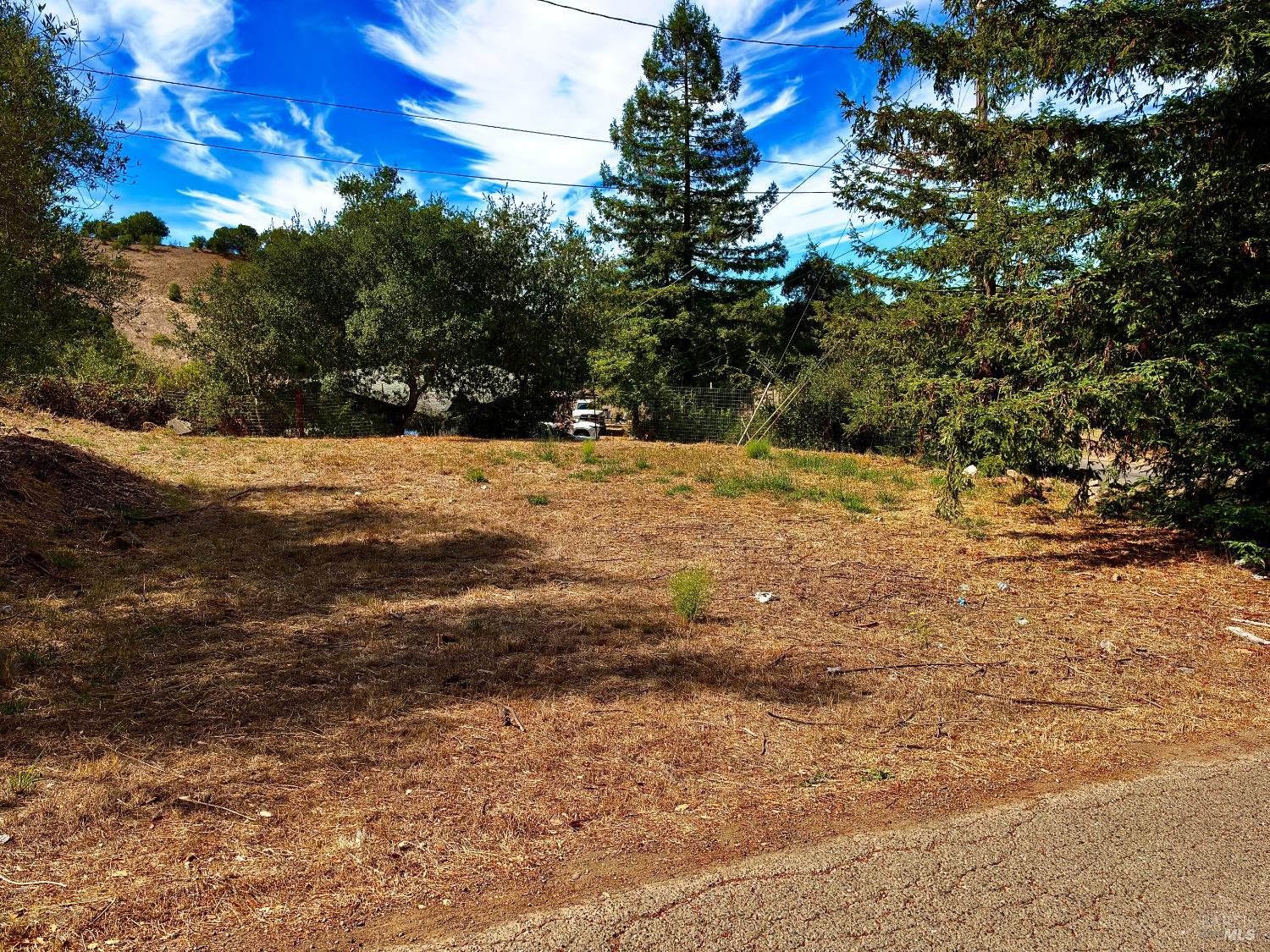 4310 Lichau Road Penngrove CA 94951