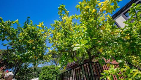 2797 Las Gallinas Avenue San Rafael CA 94903