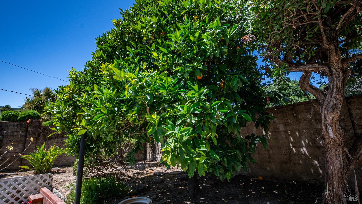 2797 Las Gallinas Avenue San Rafael CA 94903