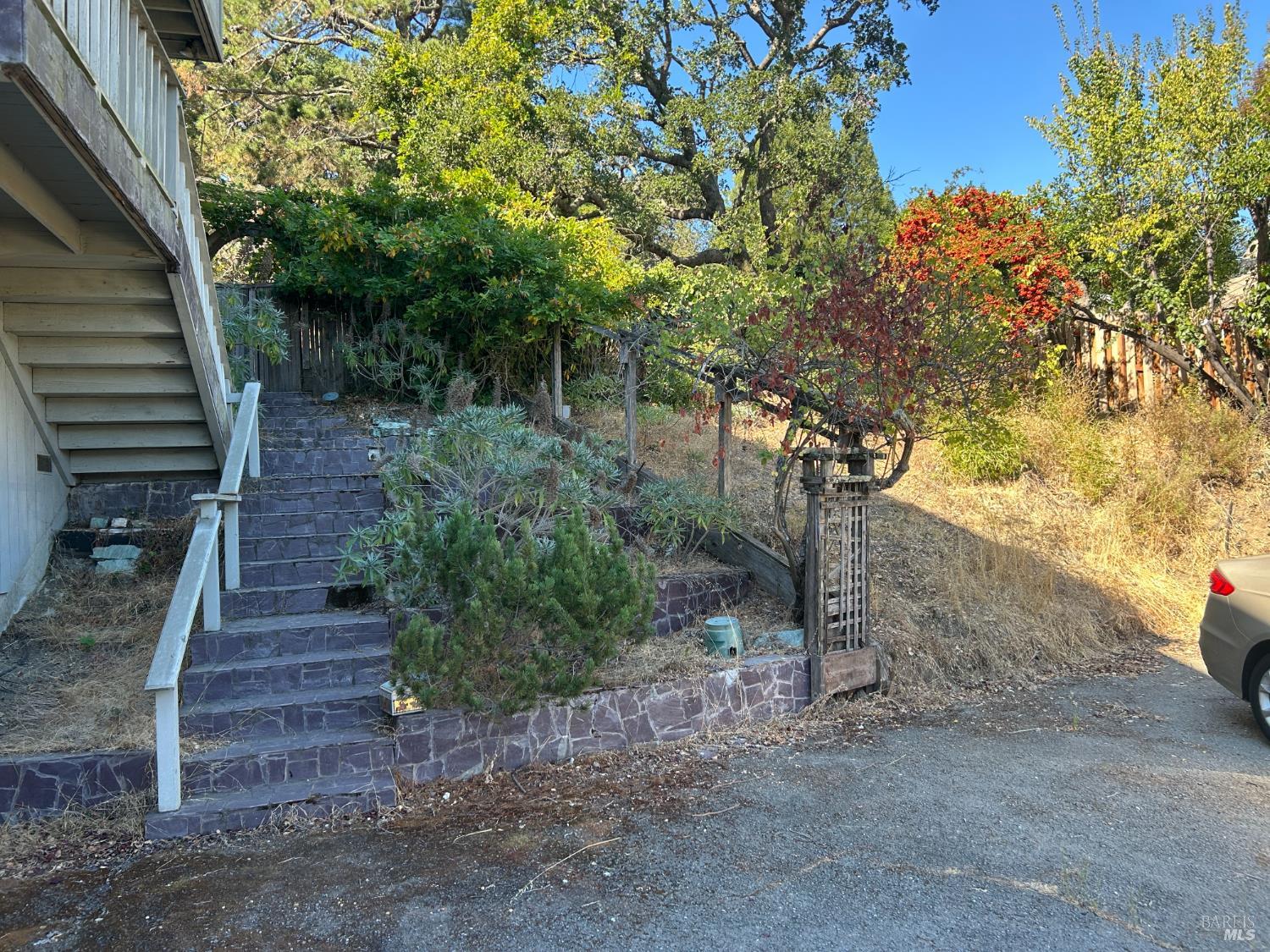 139 Prospect Drive San Rafael CA 94901