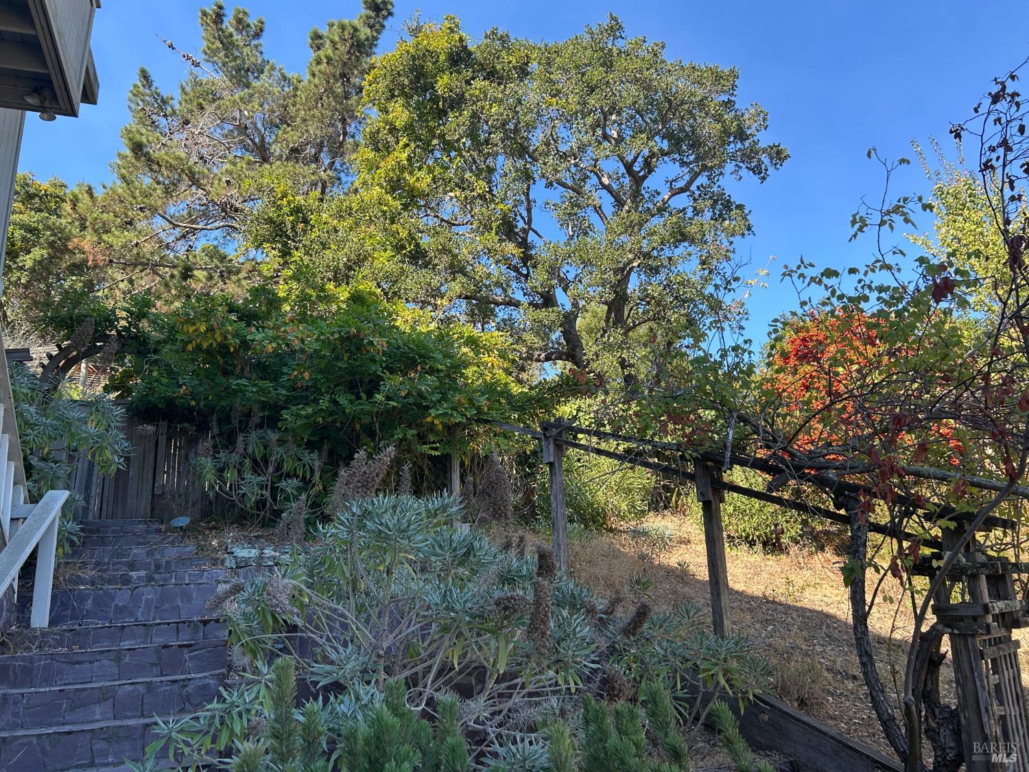 139 Prospect Drive San Rafael CA 94901