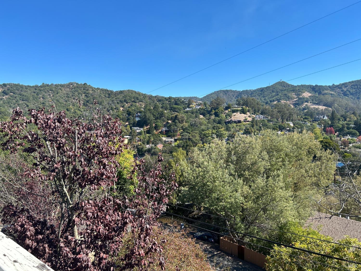 139 Prospect Drive San Rafael CA 94901