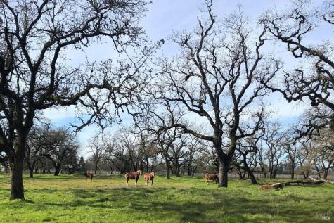 3111 Piner Road Santa Rosa CA 95401