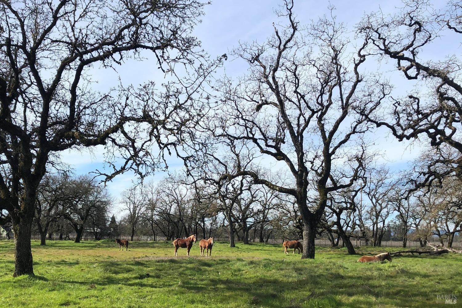 3111 Piner Road Santa Rosa CA 95401