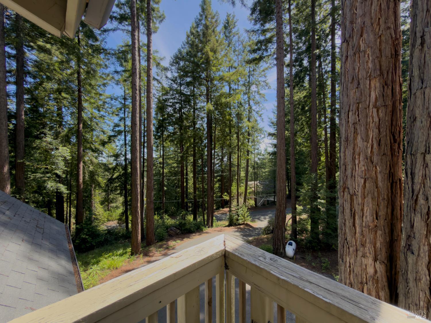 38051 Ocean Ridge Drive Gualala CA 95445