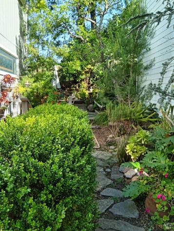 587 Fieldcrest Drive Healdsburg CA 95448