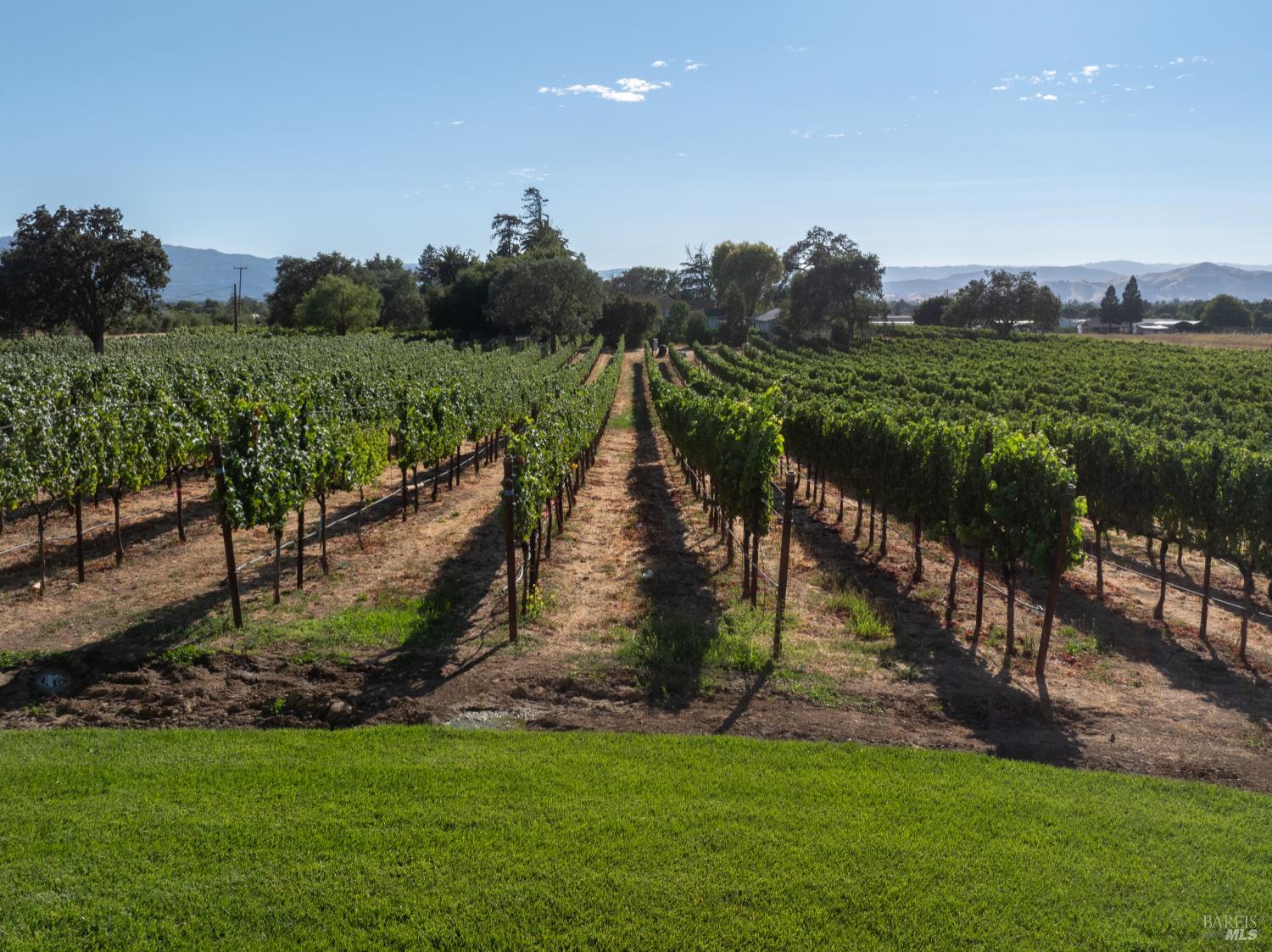 2143 Buena Vista Avenue Gilroy CA 95020