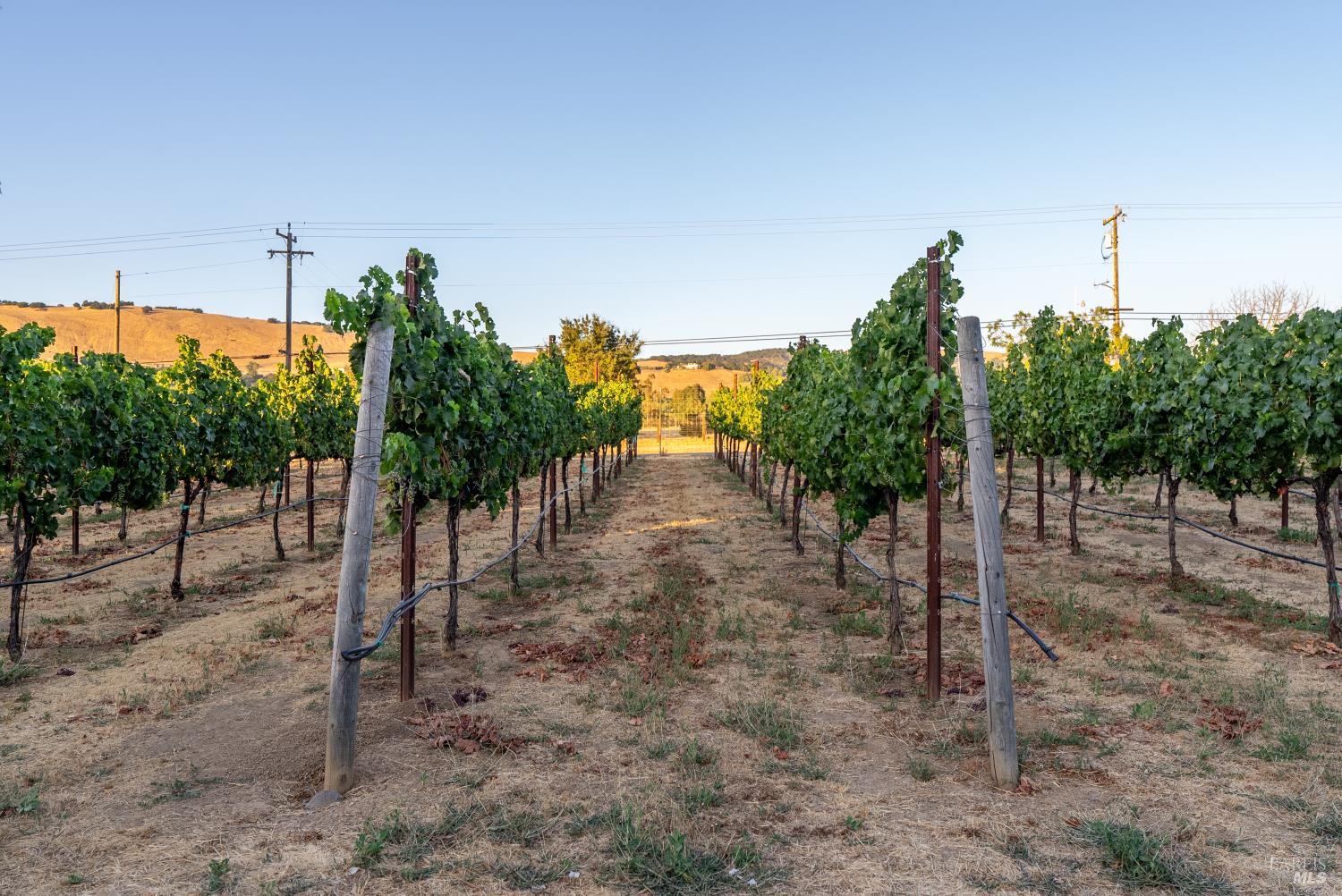 2143 Buena Vista Avenue Gilroy CA 95020