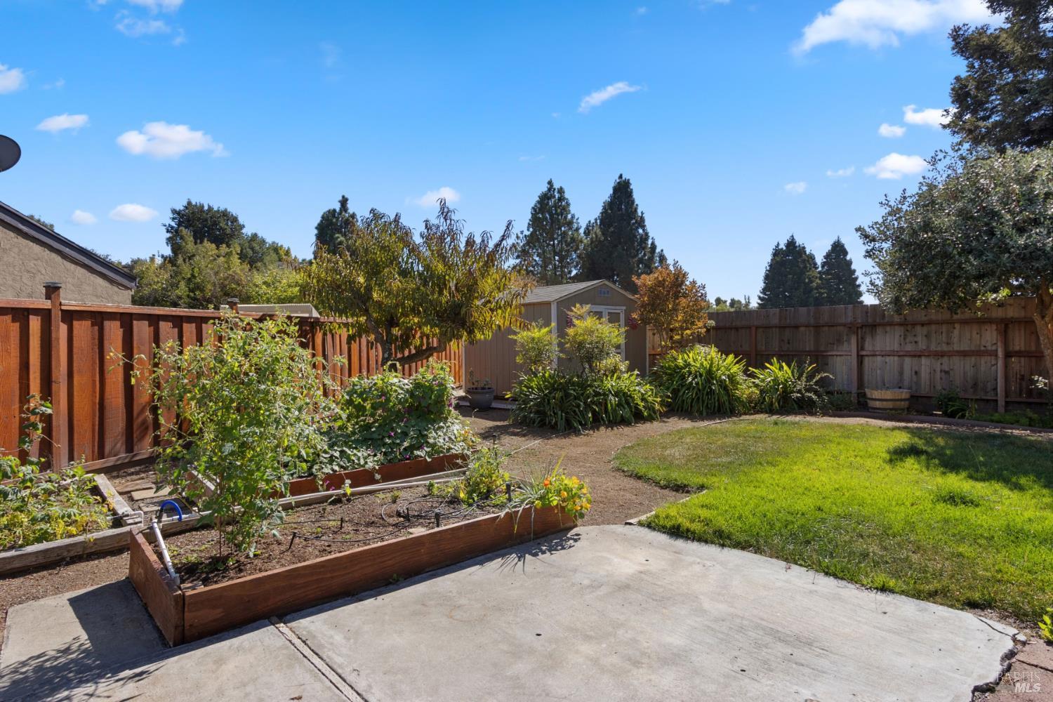645 Snapdragon Place Benicia CA 94510