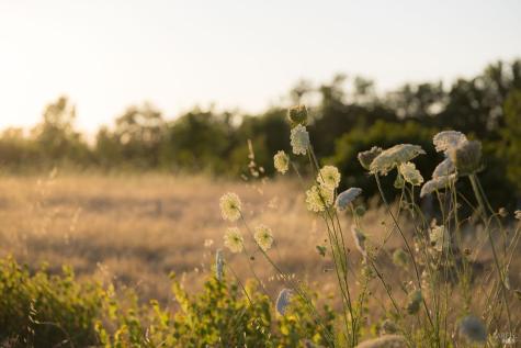 2220 Oakwild Lane Santa Rosa CA 95401