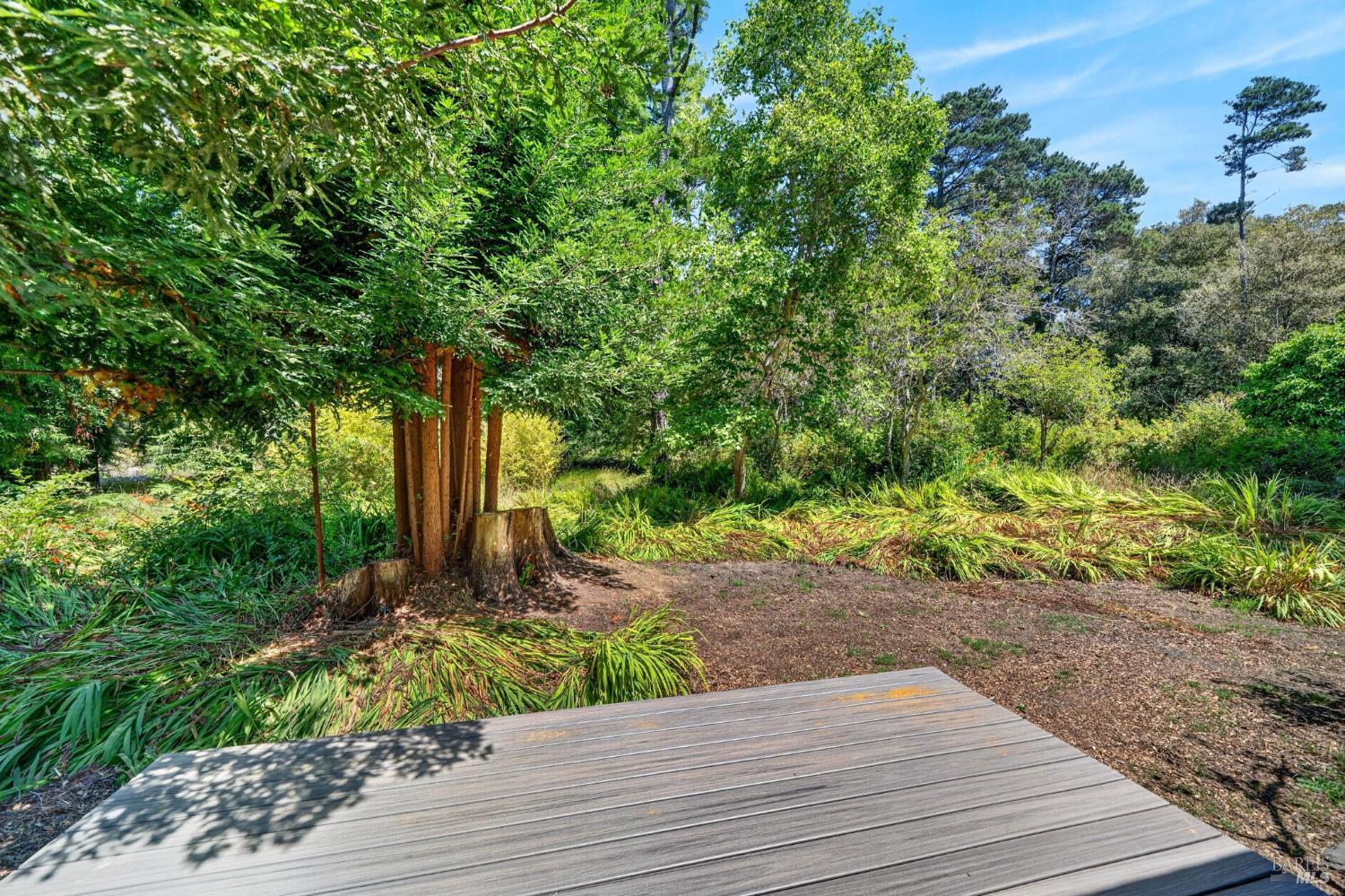 16901 Boice Lane Fort Bragg CA 95437
