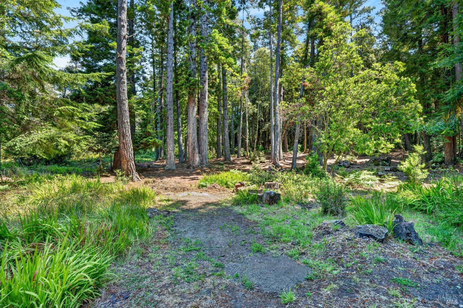 16901 Boice Lane Fort Bragg CA 95437