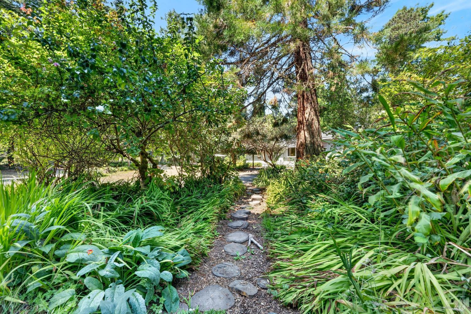 16901 Boice Lane Fort Bragg CA 95437