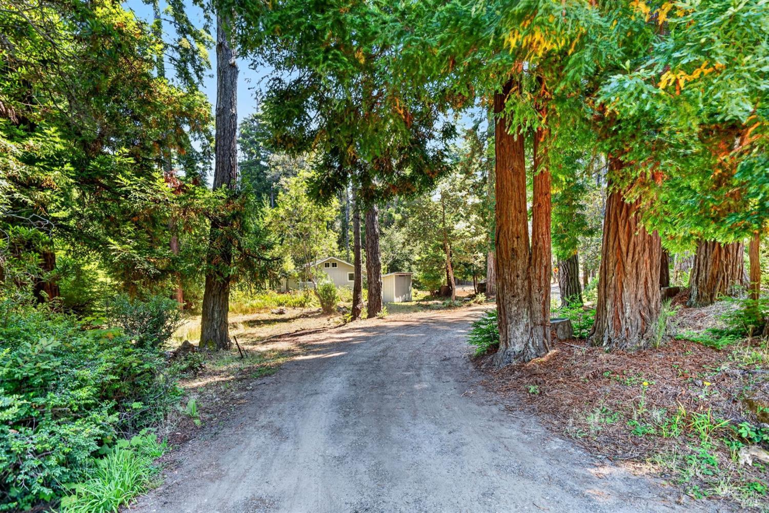 16901 Boice Lane Fort Bragg CA 95437